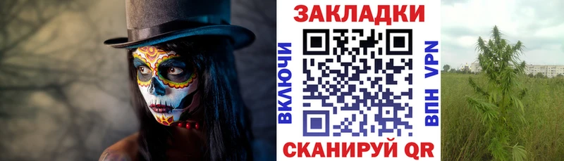 НБОМе Пласт