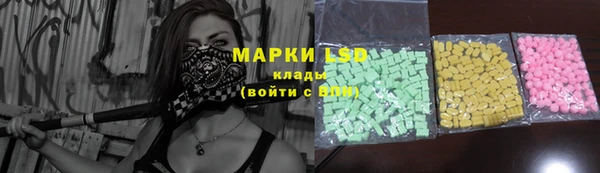 соль ск Кулебаки